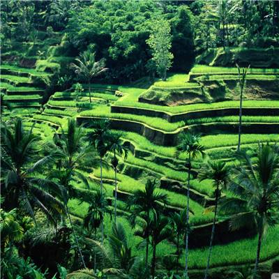 赛博体育手机app下载截图