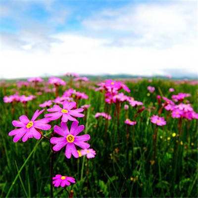 竞彩足球app官方下载安装手机版截图