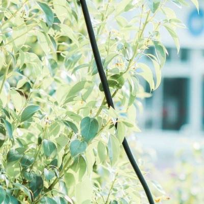 澳门网上黄金城